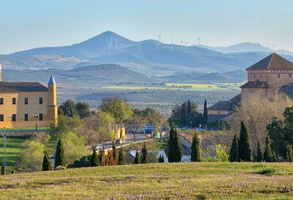 CONVOCATORIA OFICIAL DE LA ASAMBLEA GENERAL ORDINARIA 2026 EL 31 DE ENERO-2026 OSUNA (SEVILLA)