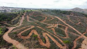 TODO PREPARADO PARA EL CROSSCOUNTRY CAMPEONATO DE ESPAÑA Y ANDALUCÍA ZALAMEA LA REAL 15-02-2026