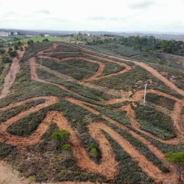 TODO PREPARADO PARA EL CROSSCOUNTRY CAMPEONATO DE ESPAÑA Y ANDALUCÍA ZALAMEA LA REAL 15-02-2026