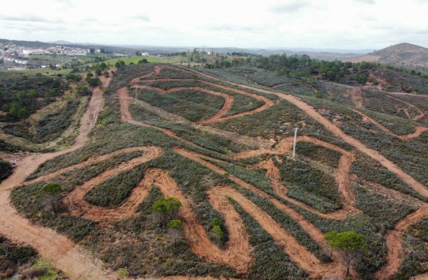 TODO PREPARADO PARA EL CROSSCOUNTRY CAMPEONATO DE ESPAÑA Y ANDALUCÍA ZALAMEA LA REAL 15-02-2026
