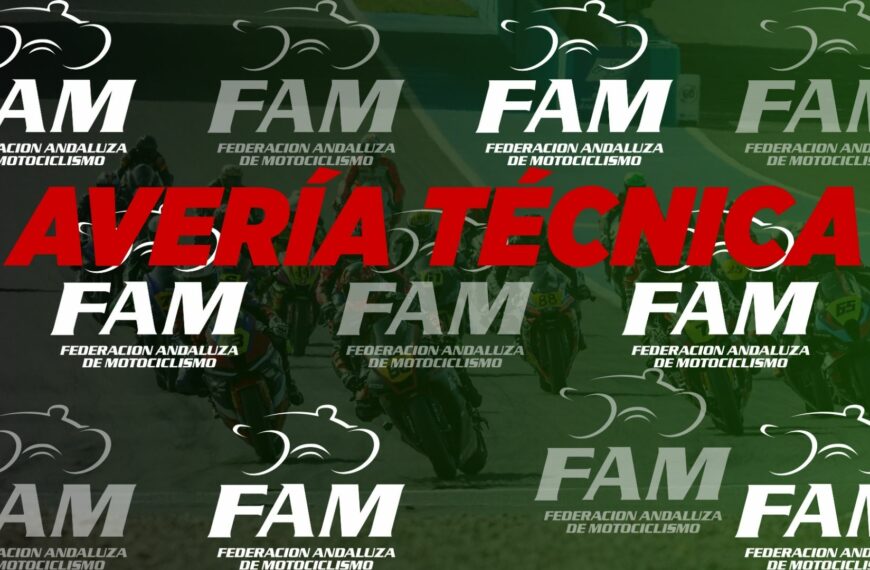 INCIDENCIA TÉCNICA AFECTA AL SERVICIO TELEFÓNICO